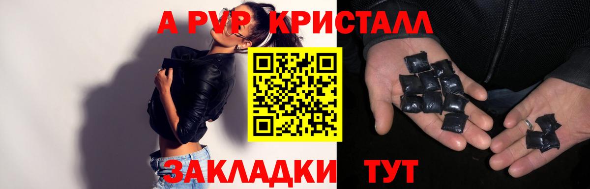 A PVP крисы CK Обь
