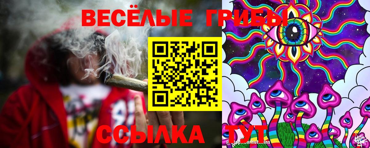 Галлюциногенные грибы прущие грибы Обь