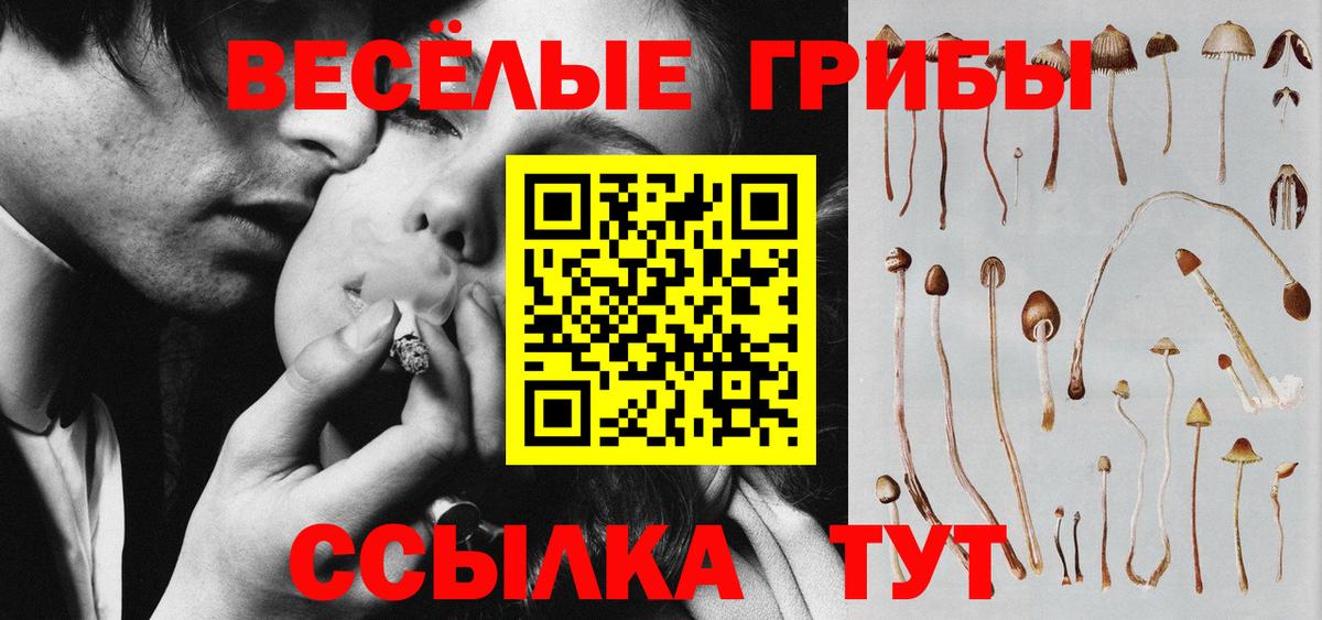 Галлюциногенные грибы Magic Shrooms  Вход с VPN  Обь 